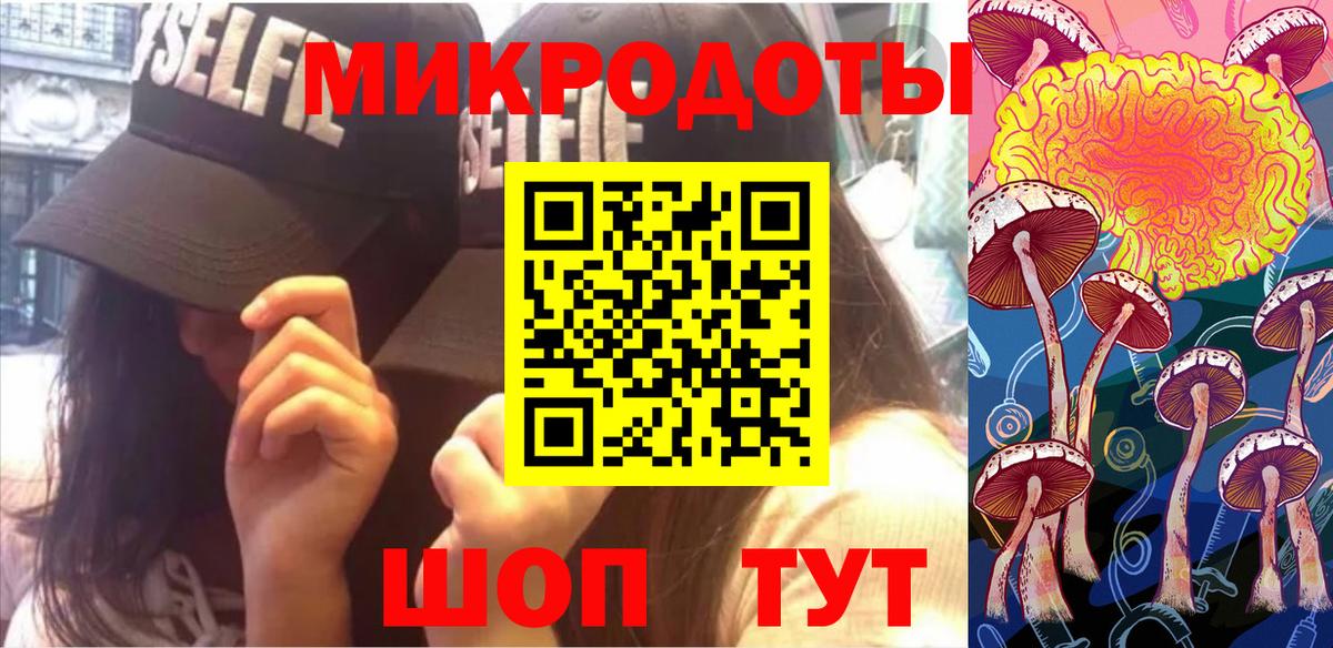 Галлюциногенные грибы Psilocybe Краснокаменск