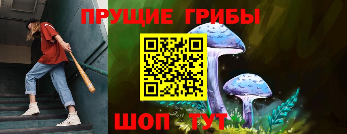 Галлюциногенные грибы Cubensis  Вход с VPN  Краснокаменск 